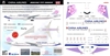 1:200 China Airlines Boeing 777-300ER