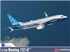 1:144 Boeing 737-MAX8, Boeing 'Prototype' markings