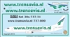 1:200 Transavia Holland Boeing 737-800 (PH-HZE)