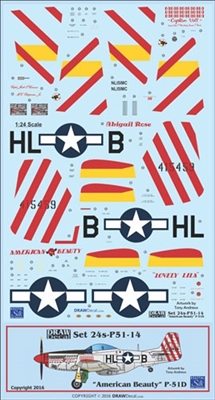 1:24 N.A. P-51D Mustang  "American Beauty"