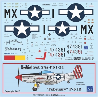 1:24 N.A. P-51D Mustang  "February"