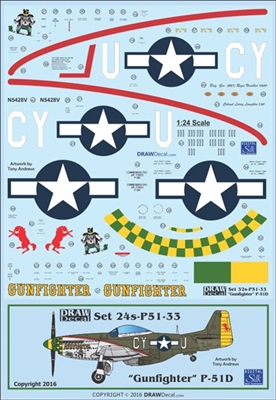 1:24 N.A. P-51D Mustang  "Gunfighter"