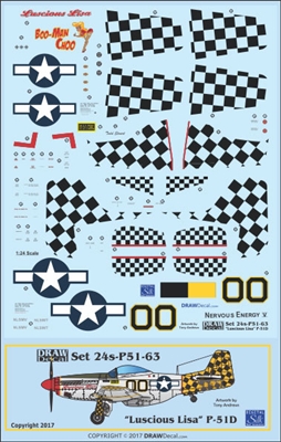 1:24 N.A. P-51D Mustang  "Luscious Lisa"