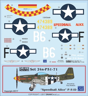 1:24 N.A. P-51D Mustang "Speedball Alice"