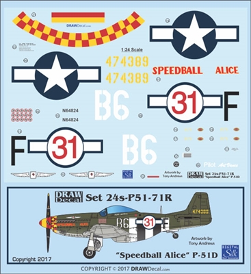 1:24 N.A. P-51D Mustang "Speedball Alice" (Race cs)