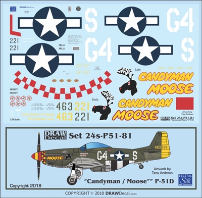 1:24 N.A. P-51D Mustang "Moose" & "Candyman"