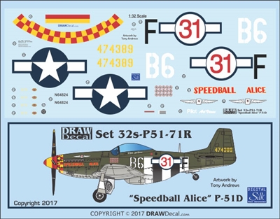 1:32 N.A. P-51D Mustang "Speedball Alice" (Race cs)