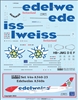 1:144 Edelweiss Airbus A.340-300
