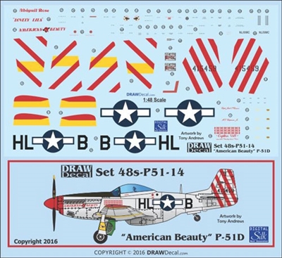 1:48 N.A. P-51D Mustang  "American Beauty"