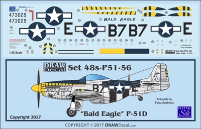 1:48 N.A. P-51D Mustang  "Bald Eagle"