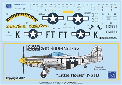 1:48 N.A. P-51D Mustang  "Little Horse"