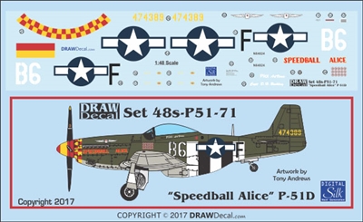 1:48 N.A. P-51D Mustang "Speedball Alice"