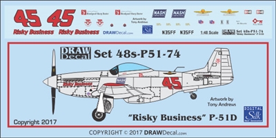 1:48 N.A. P-51D Mustang "Risky Business"