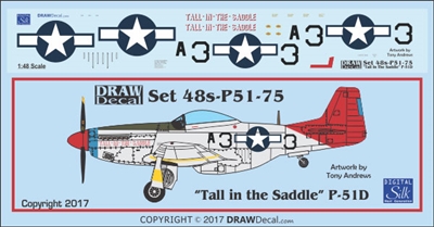 1:48 N.A. P-51D Mustang "Tall in the Saddle"