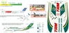 1:144 TAM Fokker 100, Passaredo A.310