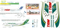 1:144 TAM Fokker 100, Passaredo A.310