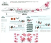 1:144 Japan Airlines 'Reso'cha' (pink) Boeing 747-346