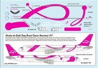 1:144 Song 'Breast Cancer Awareness' Boeing 757-200