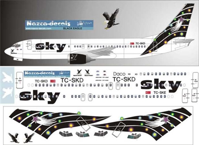 1:144 Sky 'Black Eagle' Boeing 737-400