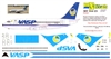 1:144 VASP Boeing 737-200