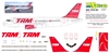 1:144 TAM (second cs) Airbus A.319
