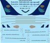 1:144 Saudi Arabian Airbus A.330-300